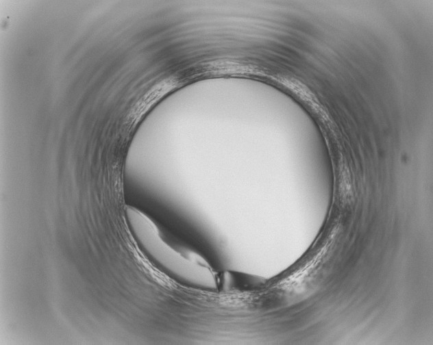 X0000059080897200511041818