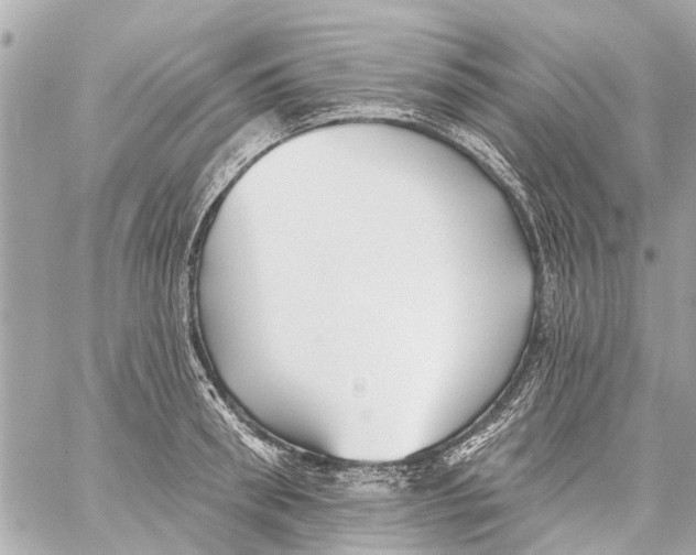 X0000059080898200511041818