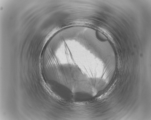 X0000059080899200511041818