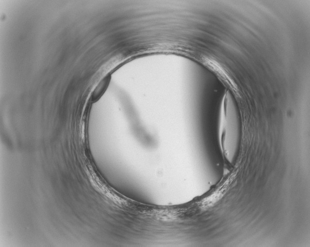 X0000059080900200511041818