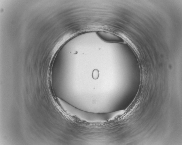 X0000059080901200511041818