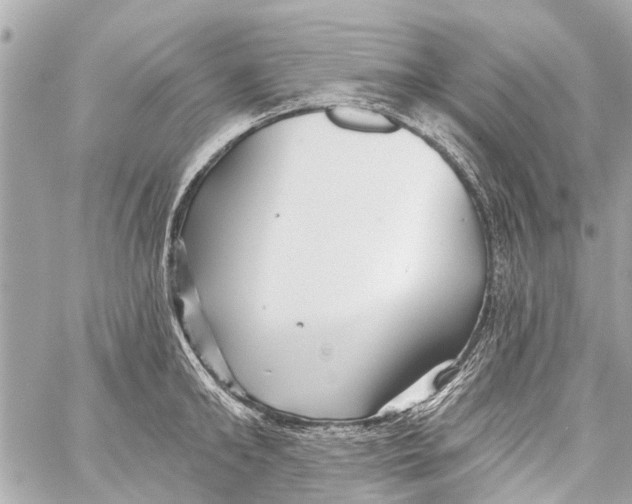 X0000059080902200511041818