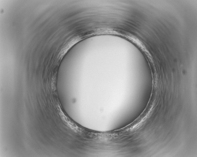 X0000059080905200511041818