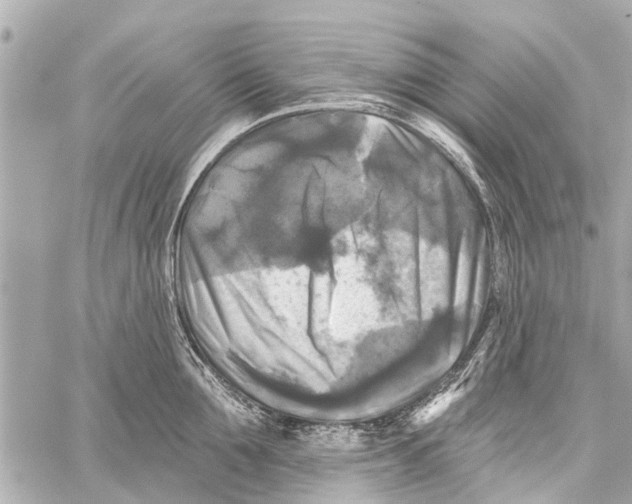 X0000059080907200511041818