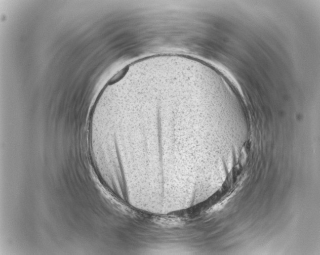 X0000059080911200511041818