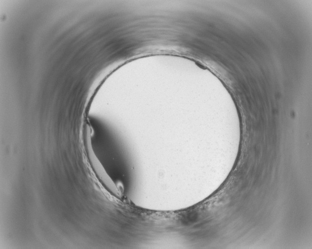 X0000059080912200511041818