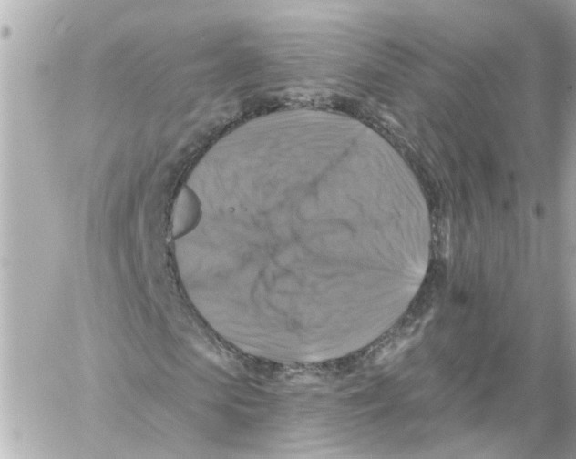 X0000059080913200511041817