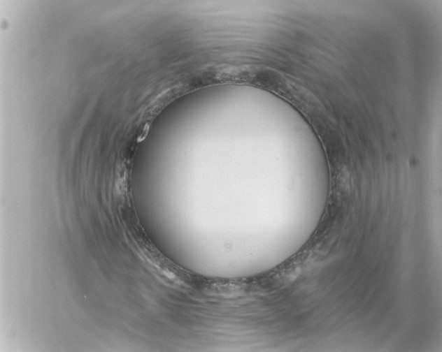 X0000059080914200511041817