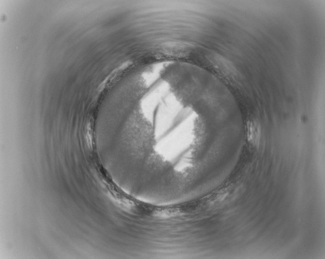 X0000059080915200511041817