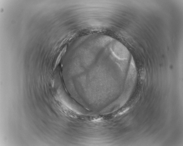 X0000059080916200511041817