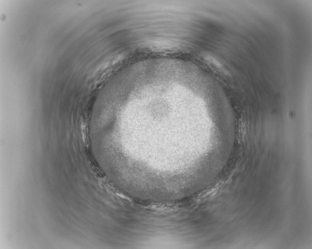 X0000059080917200511041817