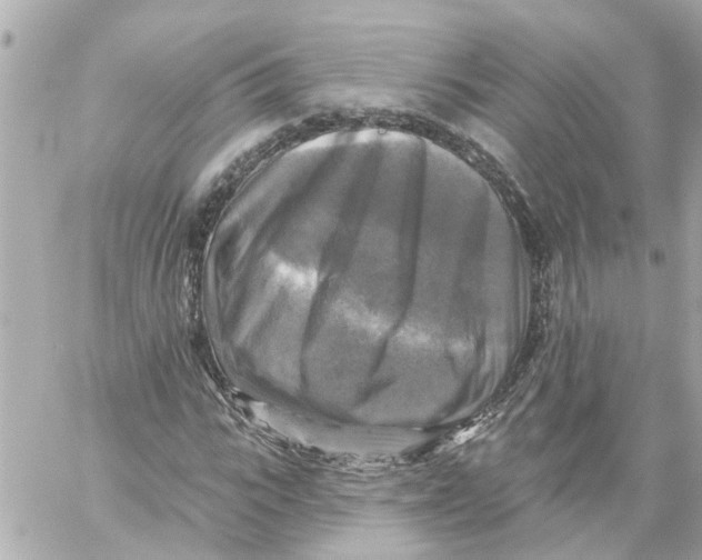 X0000059080919200511041817