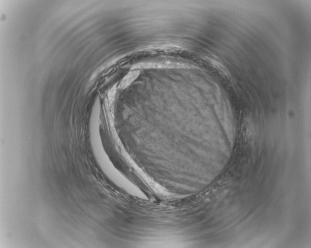 X0000059080920200511041817