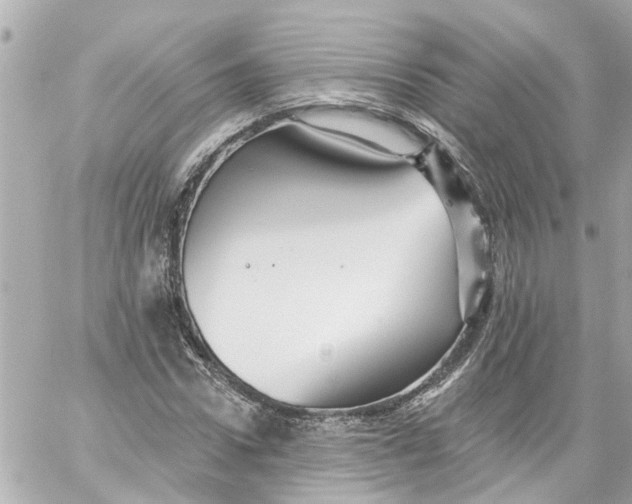 X0000059080922200511041817