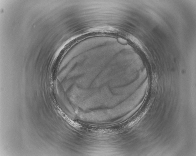 X0000059080923200511041817