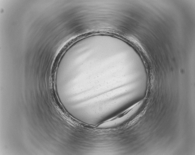 X0000059080924200511041817