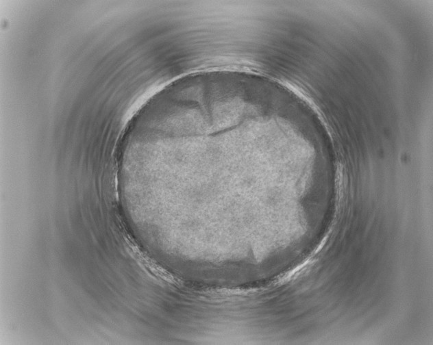 X0000059080925200511041817