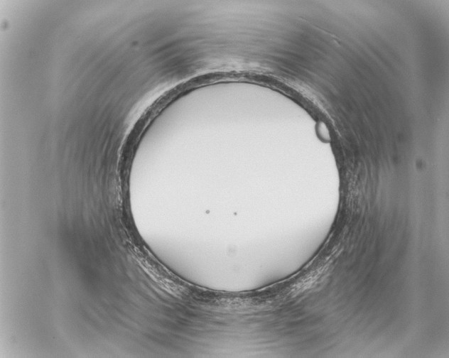 X0000059080927200511041817