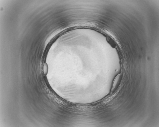 X0000059080928200511041817