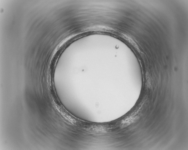 X0000059080931200511041817