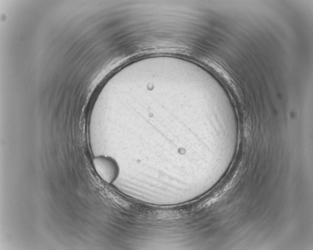 X0000059080933200511041817