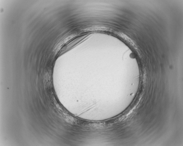 X0000059080937200511041817