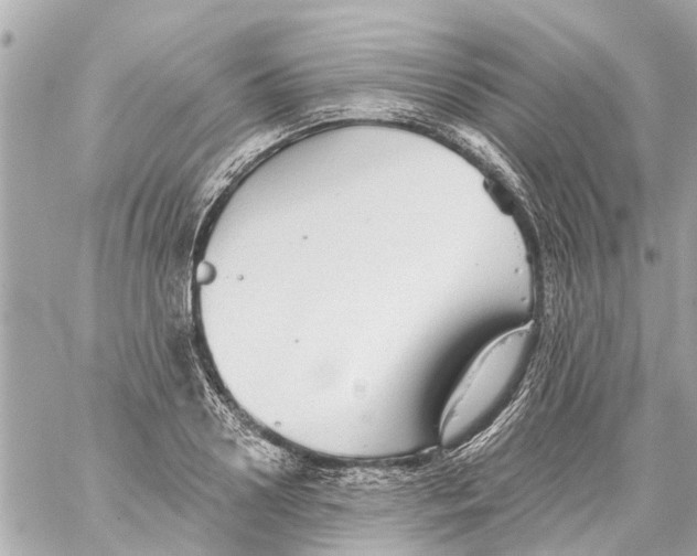 X0000059080938200511041817