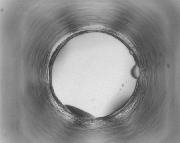 X0000059080939200511041817