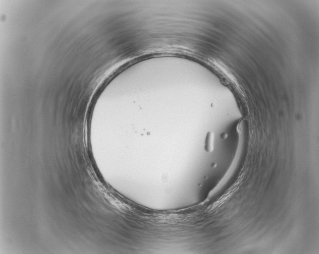 X0000059080940200511041817