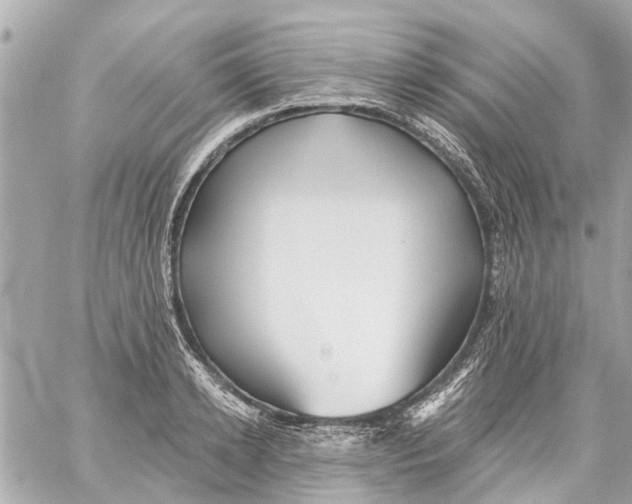 X0000059080942200511041817