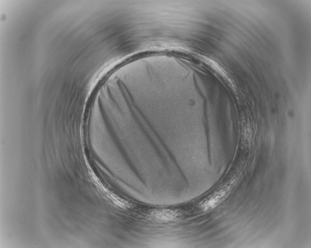 X0000059080943200511041817