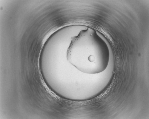 X0000059080944200511041817