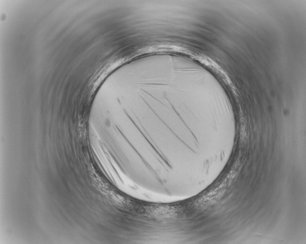 X0000059080945200511041817