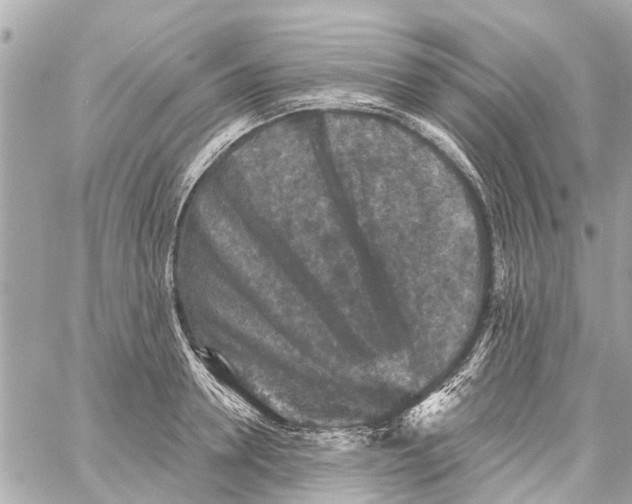 X0000059080946200511041817