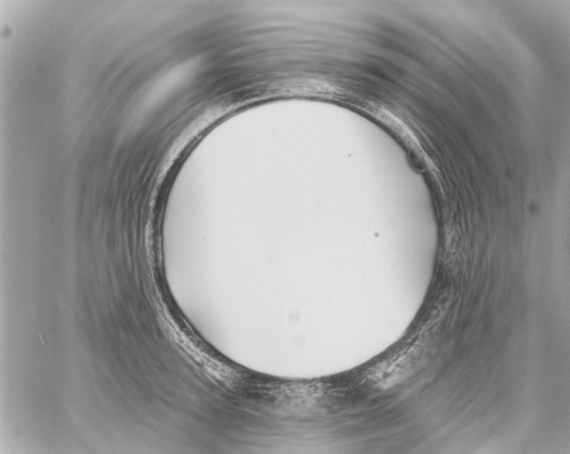 X0000059080947200511041817