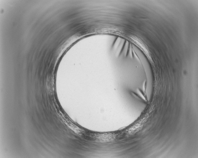 X0000059080948200511041818