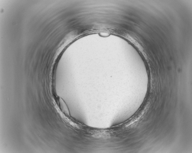 X0000059080949200511041818