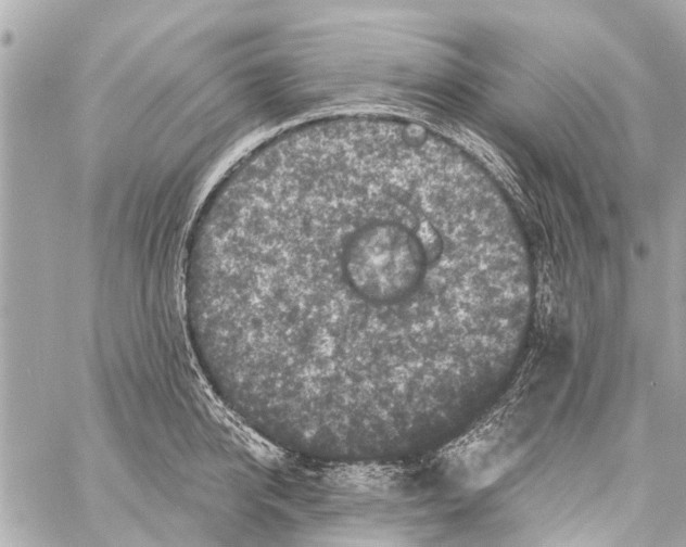 X0000059080950200511041818