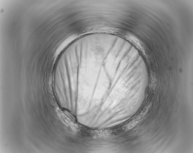 X0000059080952200511041818