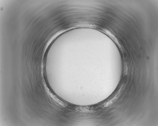 X0000059080955200511041818