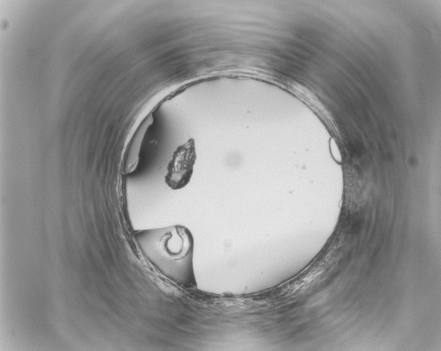 X0000059080956200511041818