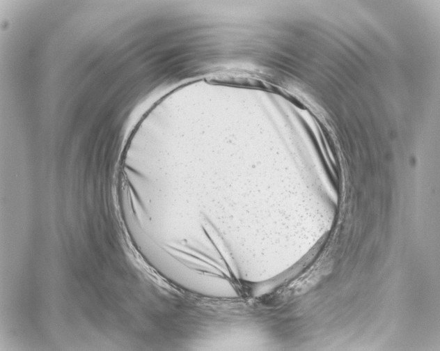 X0000059080960200511041818