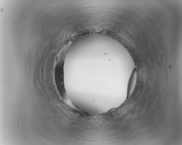 X0000059080961200511041817