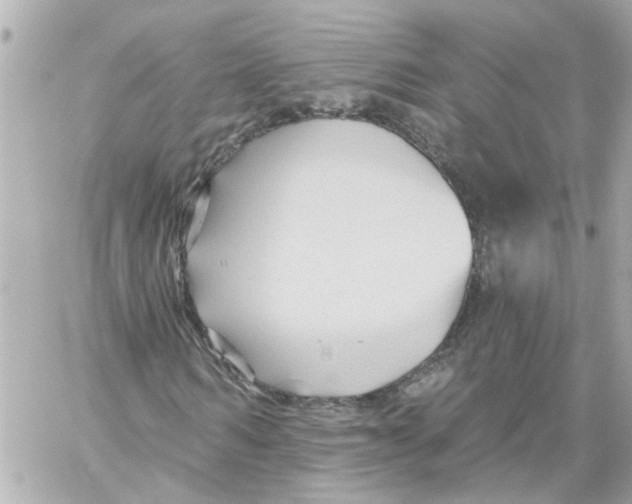 X0000059080962200511041817