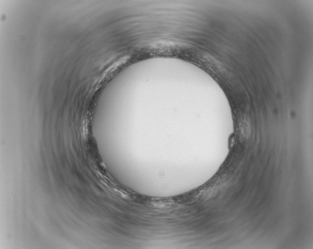 X0000059080964200511041817