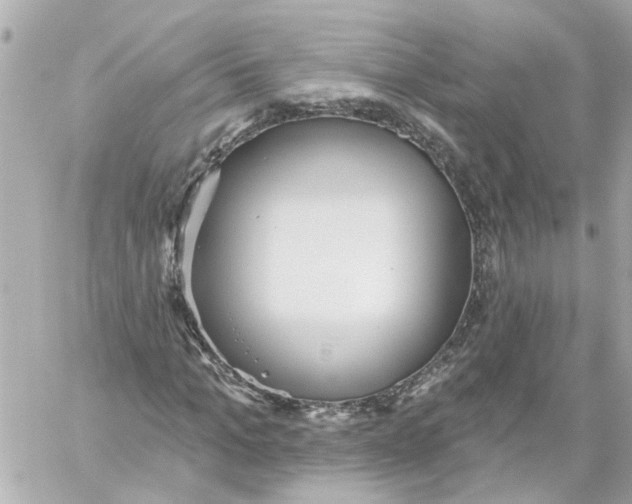 X0000059080965200511041817