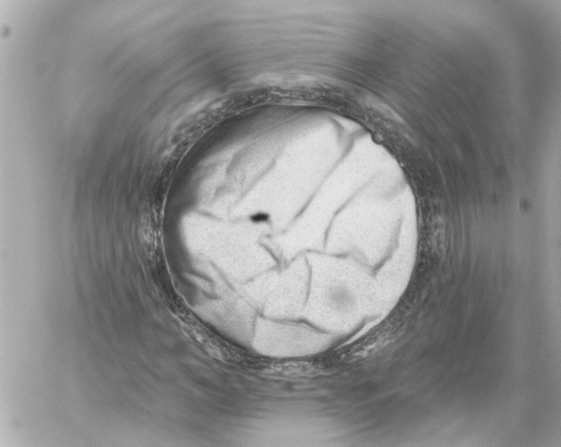 X0000059080966200511041817