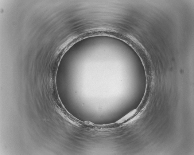 X0000059080969200511041817