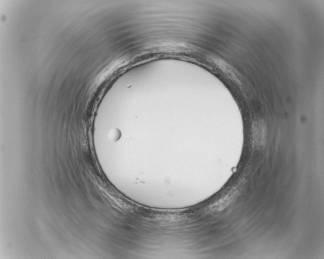 X0000059080970200511041817