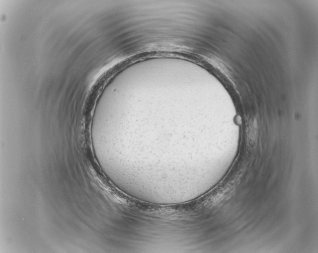 X0000059080971200511041817